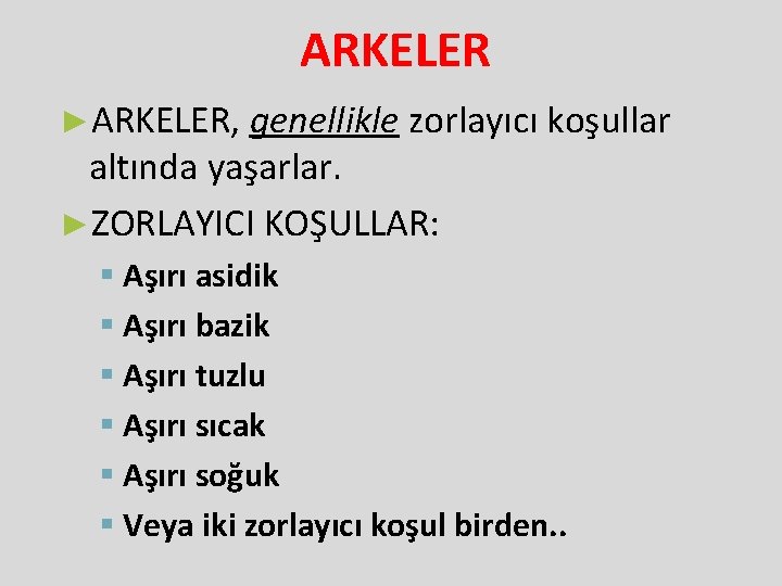 ARKELER ►ARKELER, genellikle zorlayıcı koşullar altında yaşarlar. ►ZORLAYICI KOŞULLAR: § Aşırı asidik § Aşırı