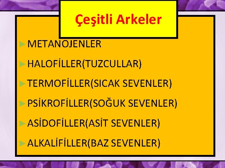 Çeşitli Arkeler ►METANOJENLER ►HALOFİLLER(TUZCULLAR) ►TERMOFİLLER(SICAK SEVENLER) ►PSİKROFİLLER(SOĞUK SEVENLER) ►ASİDOFİLLER(ASİT SEVENLER) ►ALKALİFİLLER(BAZ SEVENLER) 