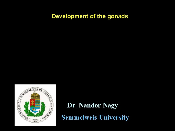 Development of the gonads Dr. Nandor Nagy Semmelweis University 