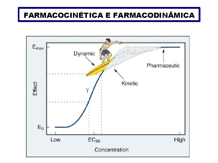 FARMACOCINÉTICA E FARMACODIN MICA 