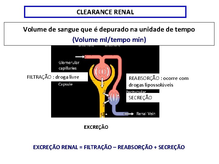 CLEARANCE RENAL Volume de sangue que é depurado na unidade de tempo (Volume ml/tempo