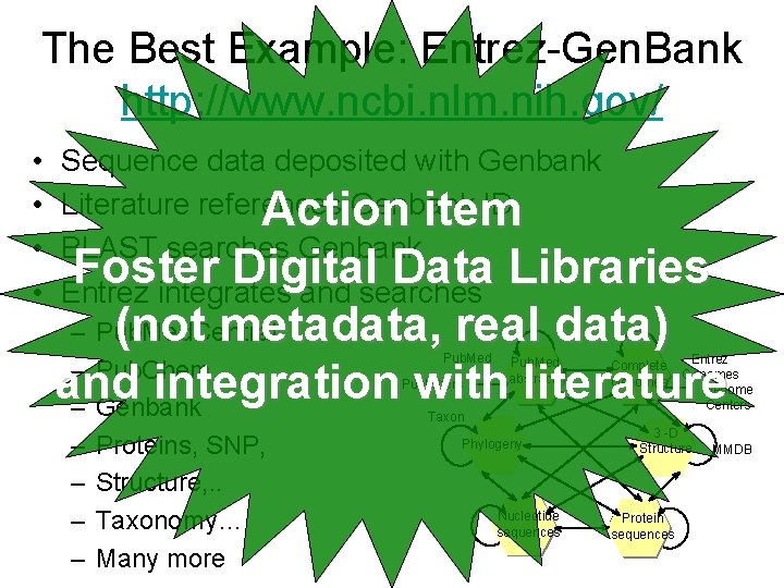 The Best Example: Entrez-Gen. Bank http: //www. ncbi. nlm. nih. gov/ • • Sequence