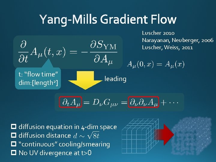 Luscher 2010 Narayanan, Neuberger, 2006 Luscher, Weiss, 2011 t: “flow time” dim: [length 2]