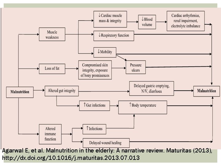 Agarwal E, et al. Malnutrition in the elderly: A narrative review. Maturitas (2013), http: