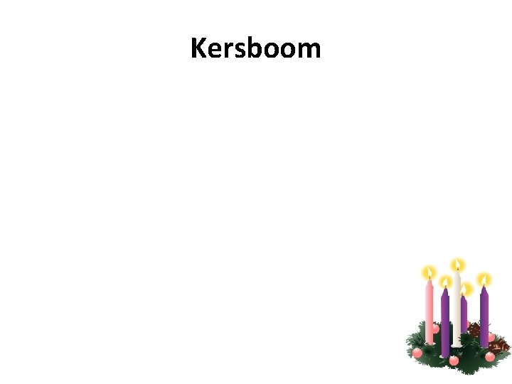 Kersboom 