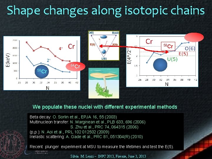 Shape changes along isotopic chains 58 Cr 56 Cr 64 Cr We populate these