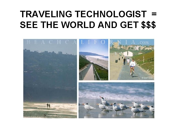 TRAVELING TECHNOLOGIST = SEE THE WORLD AND GET $$$ 