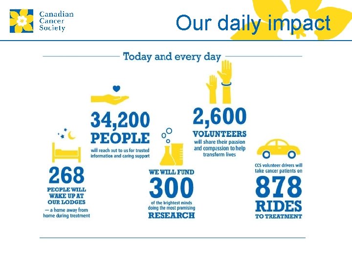 Our daily impact 