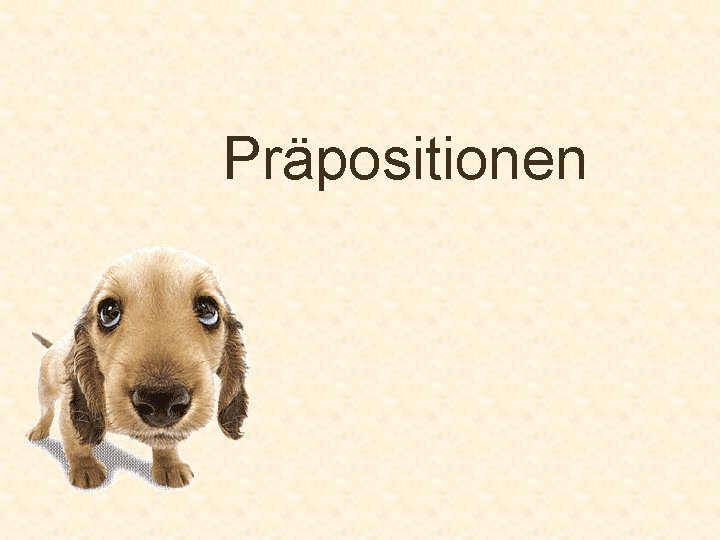 Präpositionen 