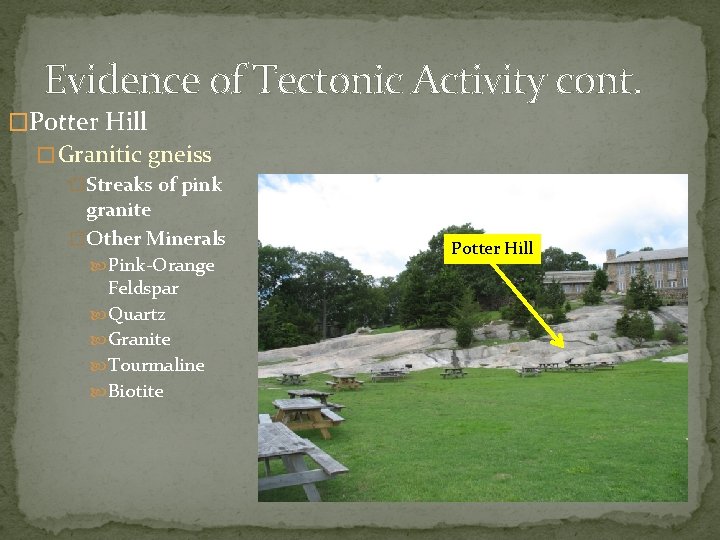Evidence of Tectonic Activity cont. �Potter Hill � Granitic gneiss �Streaks of pink granite