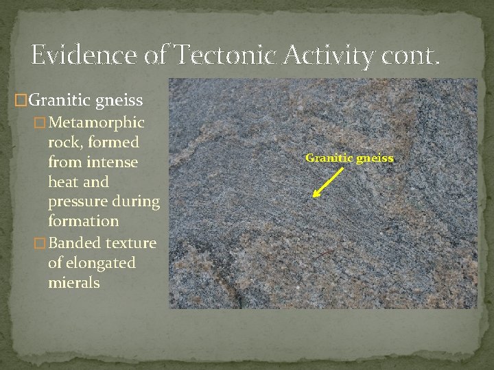 Evidence of Tectonic Activity cont. �Granitic gneiss � Metamorphic rock, formed from intense heat
