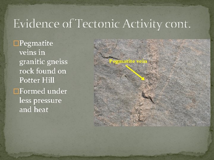 Evidence of Tectonic Activity cont. �Pegmatite veins in granitic gneiss rock found on Potter