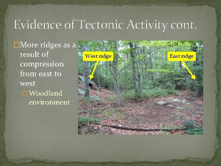 Evidence of Tectonic Activity cont. �More ridges as a result of compression from east