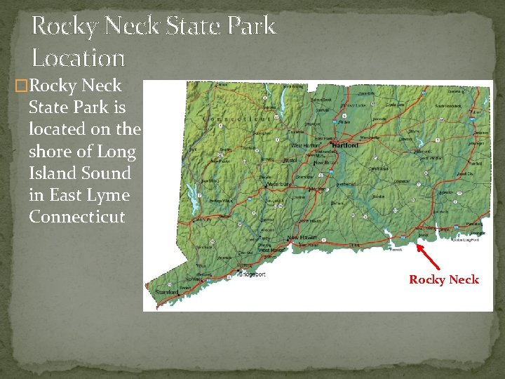 Rocky Neck State Park Location �Rocky Neck State Park is located on the shore