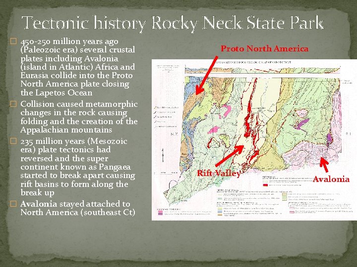 Tectonic history Rocky Neck State Park � 450 -250 million years ago (Paleozoic era)