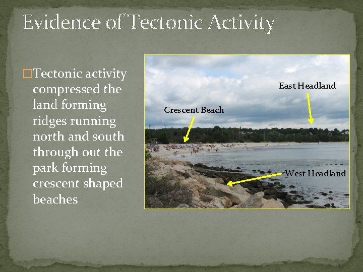 Evidence of Tectonic Activity �Tectonic activity compressed the land forming ridges running north and