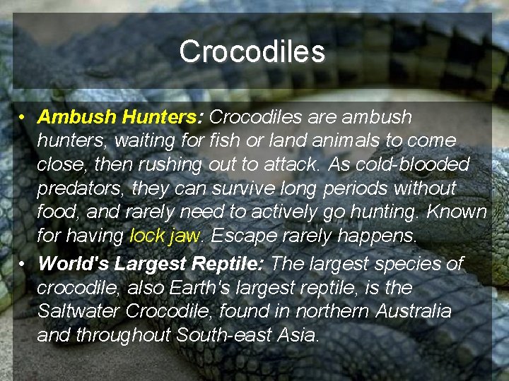 Crocodiles • Ambush Hunters: Crocodiles are ambush hunters, waiting for fish or land animals