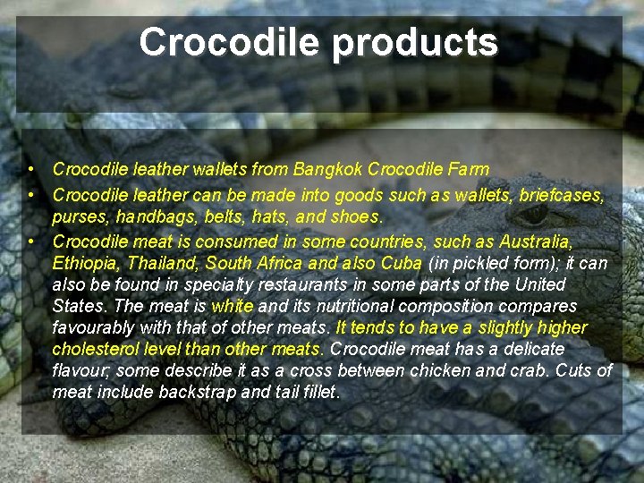 Crocodile products • Crocodile leather wallets from Bangkok Crocodile Farm • Crocodile leather can