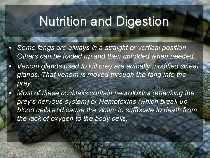 Nutrition and Digestion • Some fangs are always in a straight or vertical position.