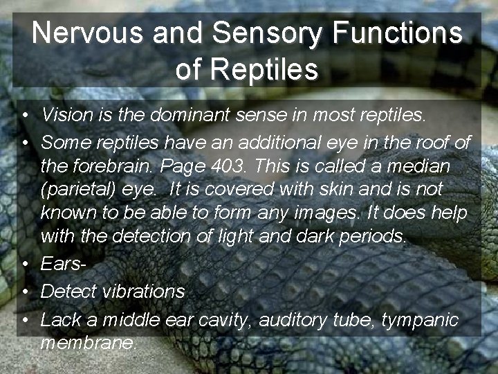 Nervous and Sensory Functions of Reptiles • Vision is the dominant sense in most