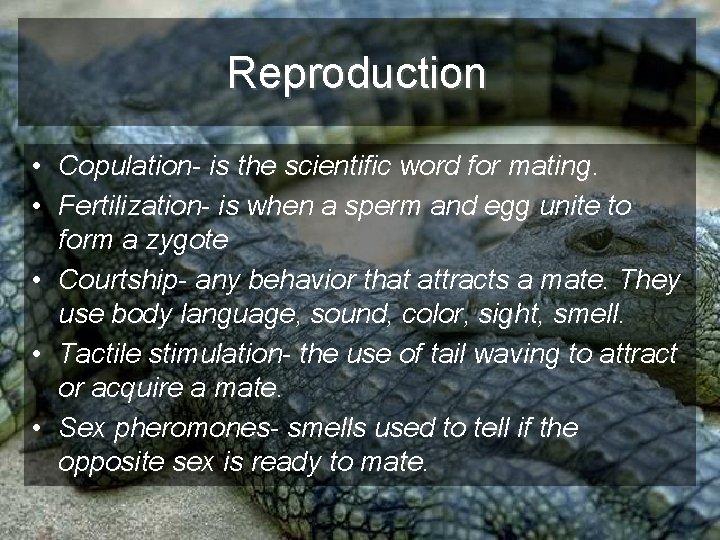 Reproduction • Copulation- is the scientific word for mating. • Fertilization- is when a