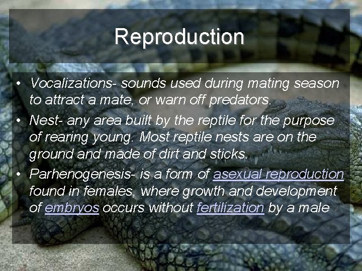 Reproduction • Vocalizations- sounds used during mating season to attract a mate, or warn