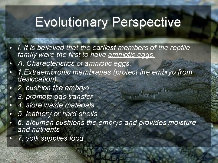 Evolutionary Perspective • I. It is believed that the earliest members of the reptile