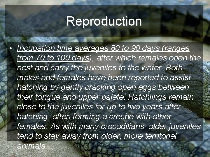 Reproduction • Incubation time averages 80 to 90 days (ranges from 70 to 100