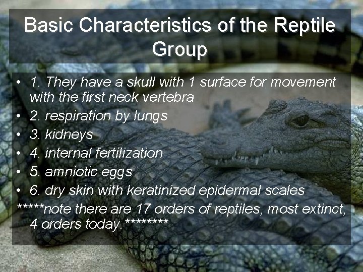 Basic Characteristics of the Reptile Group • 1. They have a skull with 1