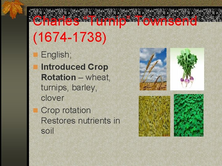 Charles “Turnip” Townsend (1674 -1738) n English; n Introduced Crop Rotation – wheat, turnips,