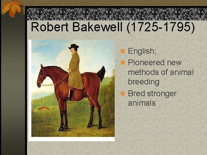 Robert Bakewell (1725 -1795) n English; n Pioneered new methods of animal breeding n