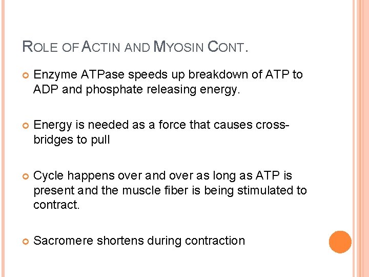 ROLE OF ACTIN AND MYOSIN CONT. Enzyme ATPase speeds up breakdown of ATP to ROLE OF ACTIN AND MYOSIN CONT. Enzyme ATPase speeds up breakdown of ATP to