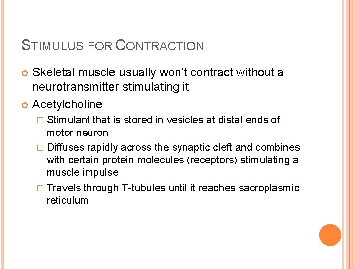 STIMULUS FOR CONTRACTION Skeletal muscle usually won’t contract without a neurotransmitter stimulating it Acetylcholine STIMULUS FOR CONTRACTION Skeletal muscle usually won’t contract without a neurotransmitter stimulating it Acetylcholine