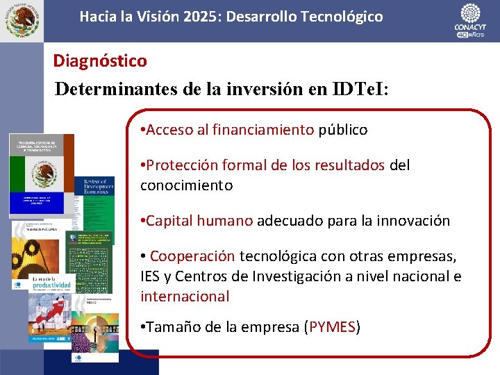 Hacia la Visión 2025: Desarrollo Tecnológico Diagnóstico Determinantes de la inversión en IDTe. I: