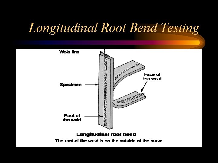 Longitudinal Root Bend Testing Longitudinal Root Bend Testing