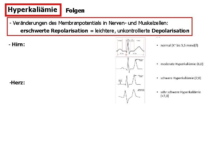 Hyperkaliämie Folgen - Veränderungen des Membranpotentials in Nerven- und Muskelzellen: erschwerte Repolarisation = leichtere,