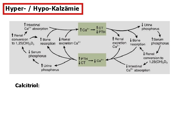 Hyper- / Hypo-Kalzämie Calcitriol: 
