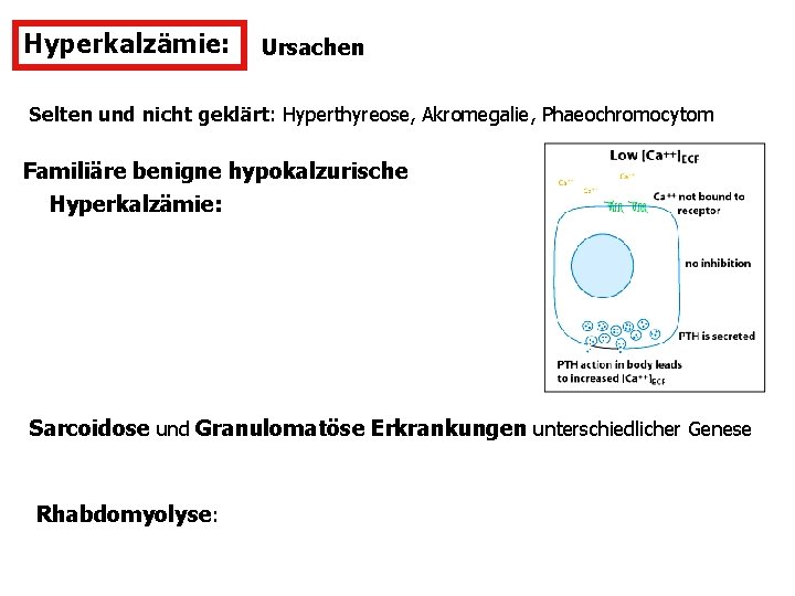 Hyperkalzämie: Ursachen Selten und nicht geklärt: Hyperthyreose, Akromegalie, Phaeochromocytom Familiäre benigne hypokalzurische Hyperkalzämie: Sarcoidose