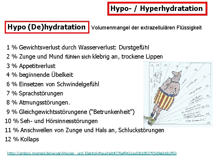 Hypo- / Hyperhydratation Hypo (De)hydratation Volumenmangel der extrazellulären Flüssigkeit 1 % Gewichtsverlust durch Wasserverlust: