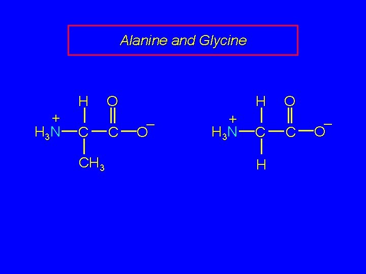 Alanine and Glycine H + H 3 N C CH 3 H O C