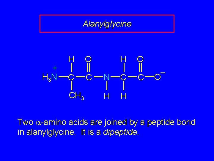Alanylglycine + H 3 N H C CH 3 H O C N C