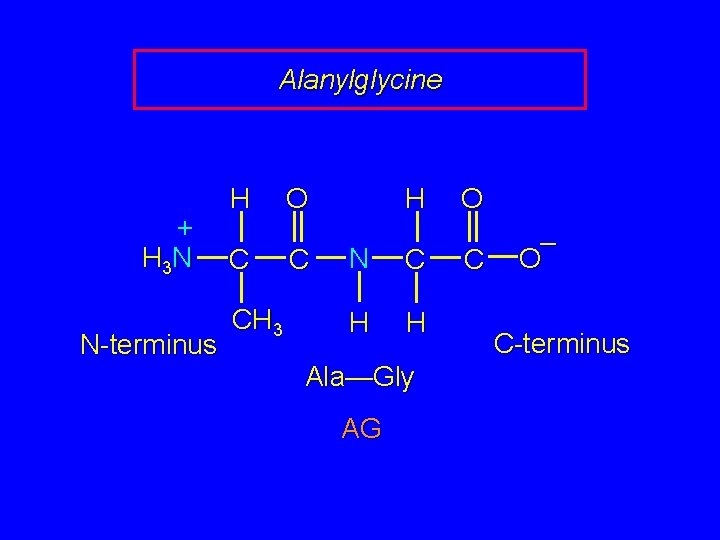 Alanylglycine + H 3 N N-terminus H C CH 3 H O C N