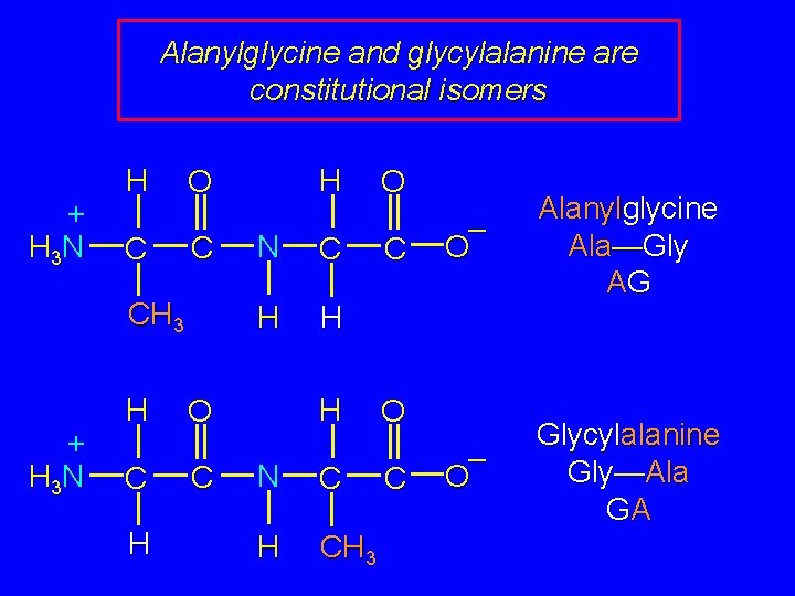 Alanylglycine and glycylalanine are constitutional isomers + H 3 N H C C CH