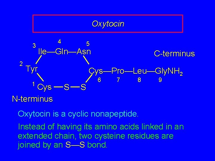 Oxytocin 3 2 4 5 Ile—Gln—Asn Tyr 1 Cys N-terminus Cys—Pro—Leu—Gly. NH 2 S