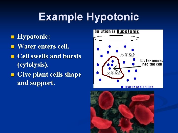 Example Hypotonic n n Hypotonic: Water enters cell. Cell swells and bursts (cytolysis). Give