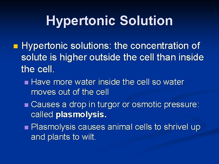 Hypertonic Solution n Hypertonic solutions: the concentration of solute is higher outside the cell