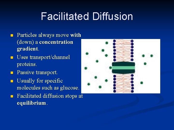 Facilitated Diffusion n n Particles always move with (down) a concentration gradient. Uses transport/channel