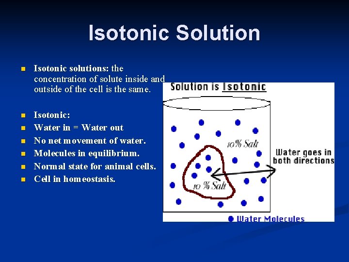 Isotonic Solution n Isotonic solutions: the concentration of solute inside and outside of the