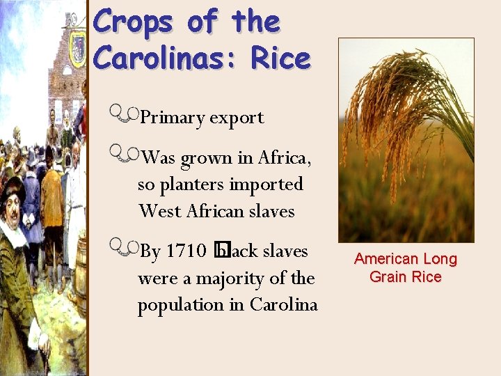 Crops of the Carolinas: Rice Primary export Was grown in Africa, so planters imported