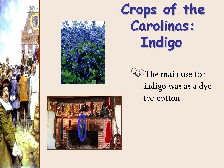 Crops of the Carolinas: Indigo The main use for indigo was as a dye